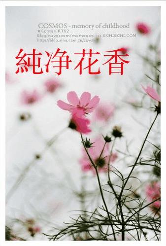纯净花香 纯净花香