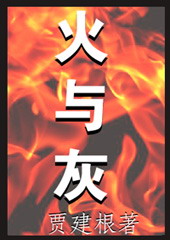 燃烧着的火和飘着的灰 燃烧着的火和飘着的灰