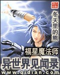 福星魔法师异世界见闻录封面