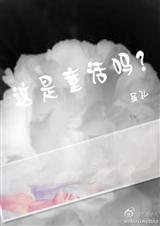 这是童话吗?封面
