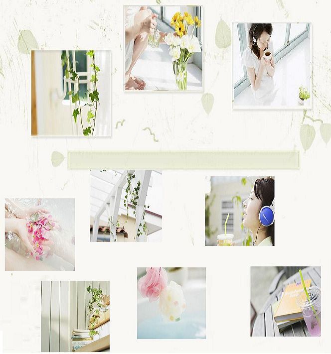 一帘疏雨 一帘疏雨