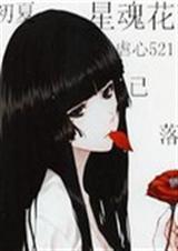 初夏星魂花已落封面