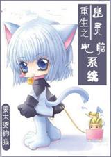 重生之幽灵电脑系统封面