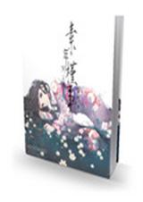 网王之素年槿事封面