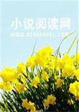 青春小鸟不回来封面