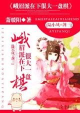 峨眉派在下很大一盘棋封面