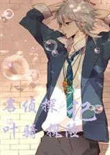 名侦探叶骑探险记封面