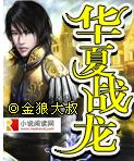 华夏战龙封面