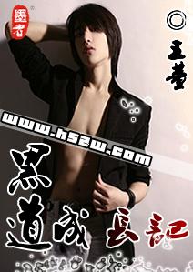 黑道成长记封面