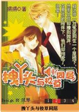 拽丫头与校草同居封面