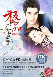 极品护花高手封面