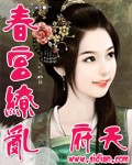春宫缭乱封面