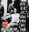 抗日之血肉长城封面