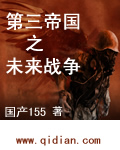 第三帝国之未来战争 第三帝国之未来战争