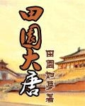 田园大唐封面