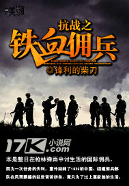 抗战之铁血佣兵封面