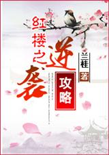 (红楼同人)红楼之逆袭攻略封面