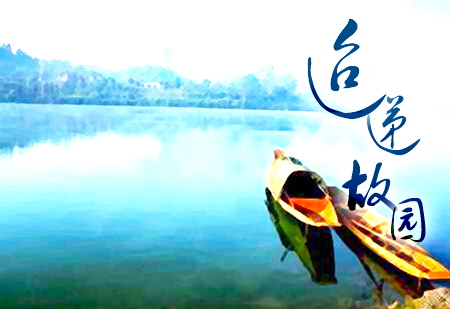 迢递故园(倚天同人)封面