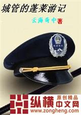 (综同人)城管的蓬莱游记封面