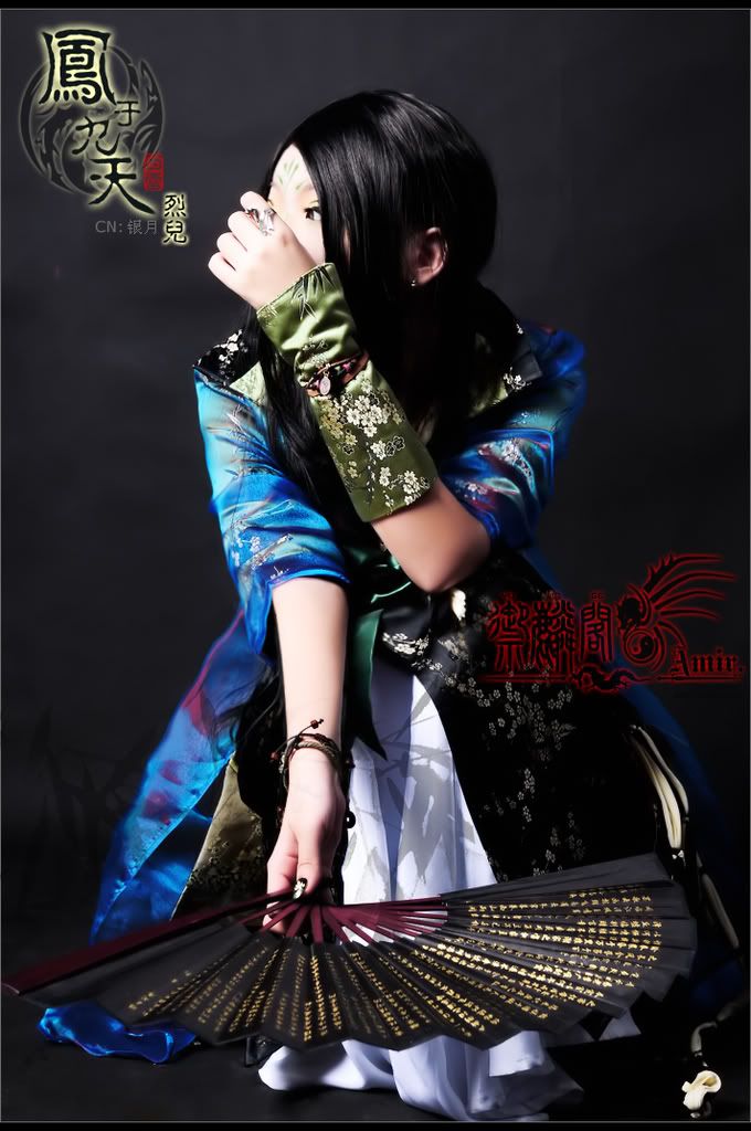 凤于九天 第01部 魂落西雷封面