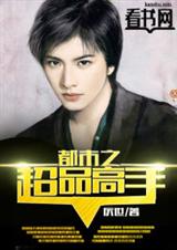都市之超品高手封面