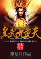 真武九重天封面