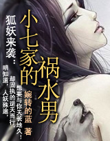 小七家的祸水男封面