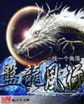 盘龙之风行封面