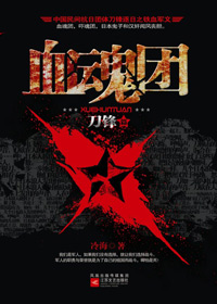 血魂团封面