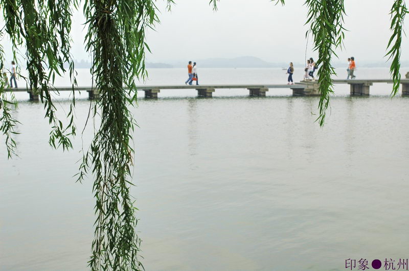 网络时代的恋情 网络时代的恋情