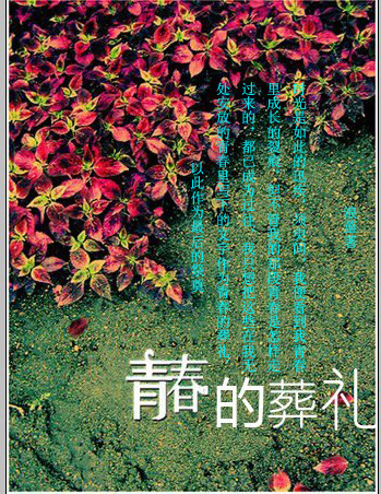 青春的葬礼封面