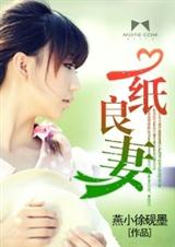 一纸良妻封面