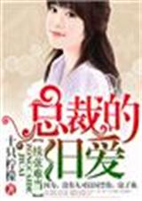 续弦难当,总裁的旧爱封面