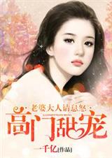 高门甜宠:老婆大人请息怒封面