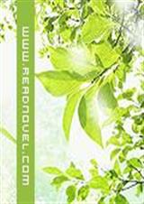 风家三小姐 风家三小姐