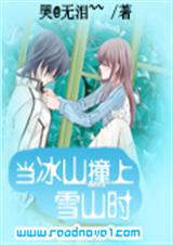 当冰山撞上雪山时封面