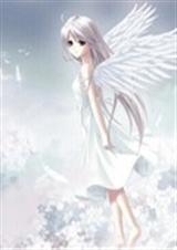 ������ʹ���������