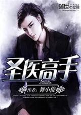 圣医高手封面