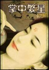 掌中繁星封面