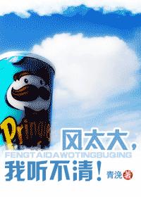 风太大,我听不清!封面