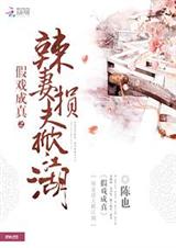 假戏成真:辣妻损夫掀江湖封面