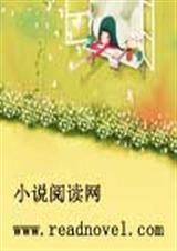 嗜魂四公主的复仇游戏封面