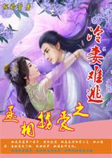 丞相掳爱之冷妻难逃封面