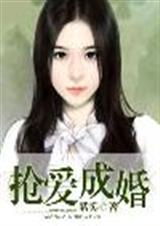 嫁爱成婚 嫁爱成婚