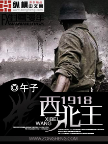 西北王1918封面