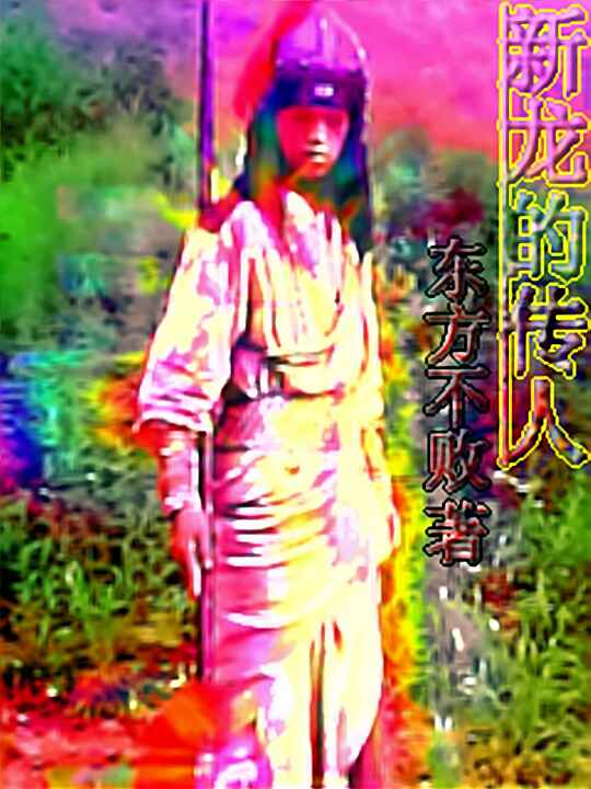 新龙的传人封面