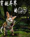 穿越异界的兔子封面