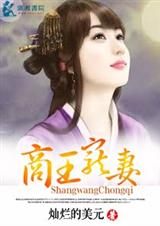 商王宠妻封面