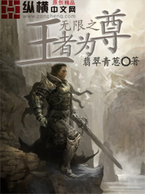 无限之王者为尊封面