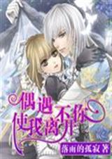 偶遇使我离不开你封面